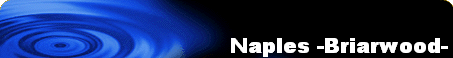 Naples -Briarwood-
